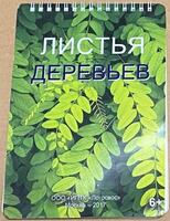 Пособие Для Слабовидящих Детей - Листья Деревьев