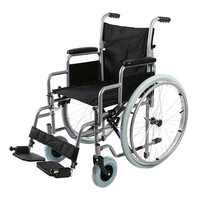 Кресло-коляска механическая Barry R1  с принадлежностями, 46 см