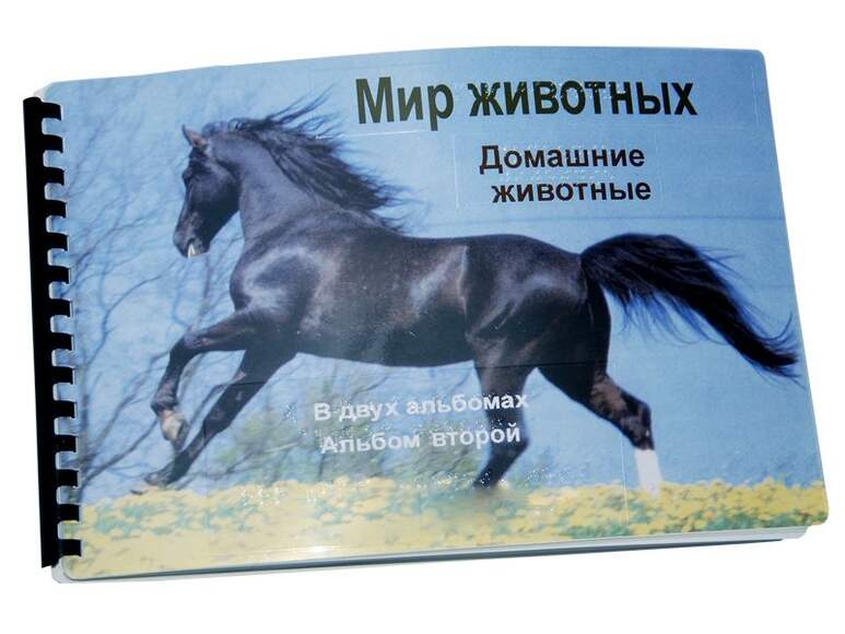 Пособие Для Слабовидящих - Домашние Животные