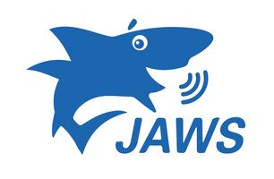По Экранного Доступа "Jaws For Windows"