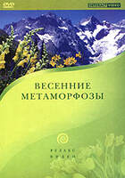 DVD Весенние метаморфозы (Музыкальная видеопрограмма для релаксации)