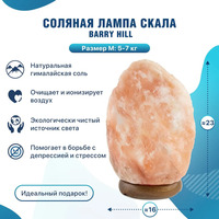 Соляная лампа "Скала" 5-7 кг Barry Hill (M)